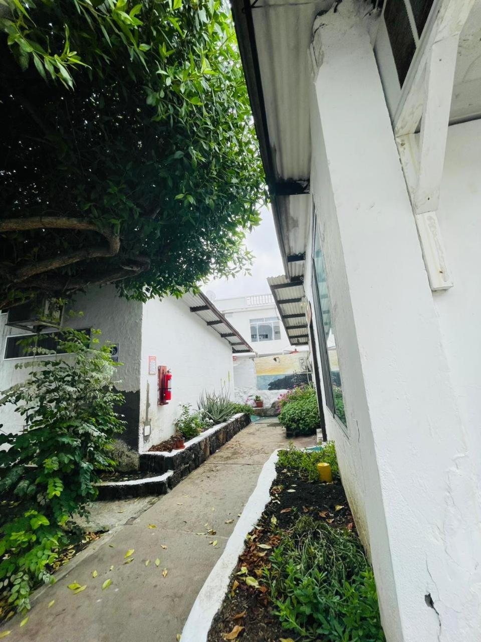 Hostal Darwin Puerto Ayora  Exterior photo